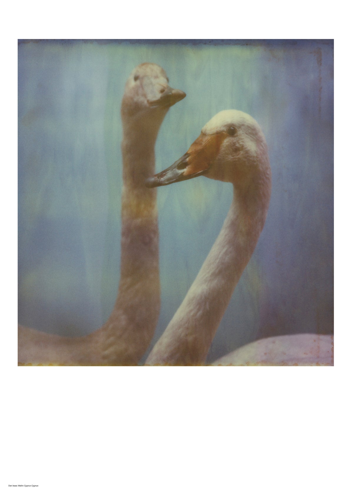 Photographer Dan Isaac Wallin – LINKIMAGE