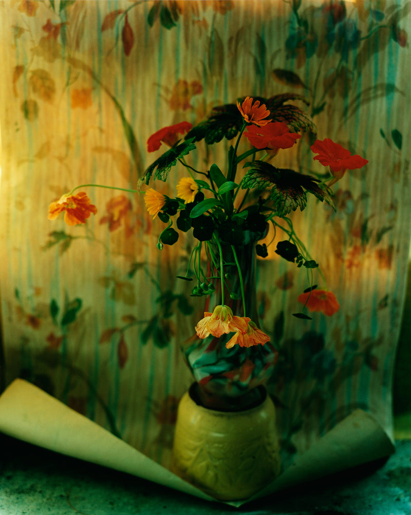 Red, yellow and orange flowers in yellow vase, standing against a flowery patterned roll of wallpaper as a backdrop. It's a warm tone over the picture, making it feel as a memory.