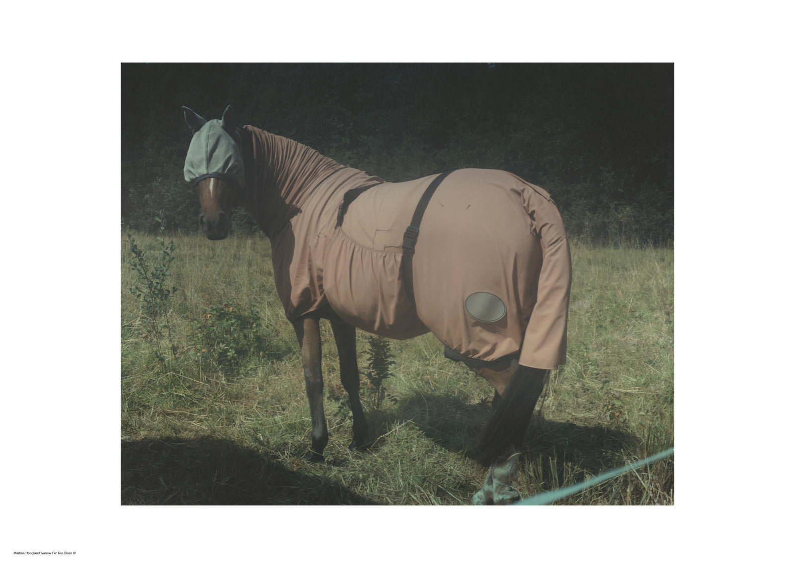 Far Too Close III by Martin ahoogland Ivanow – LINKIMAGE