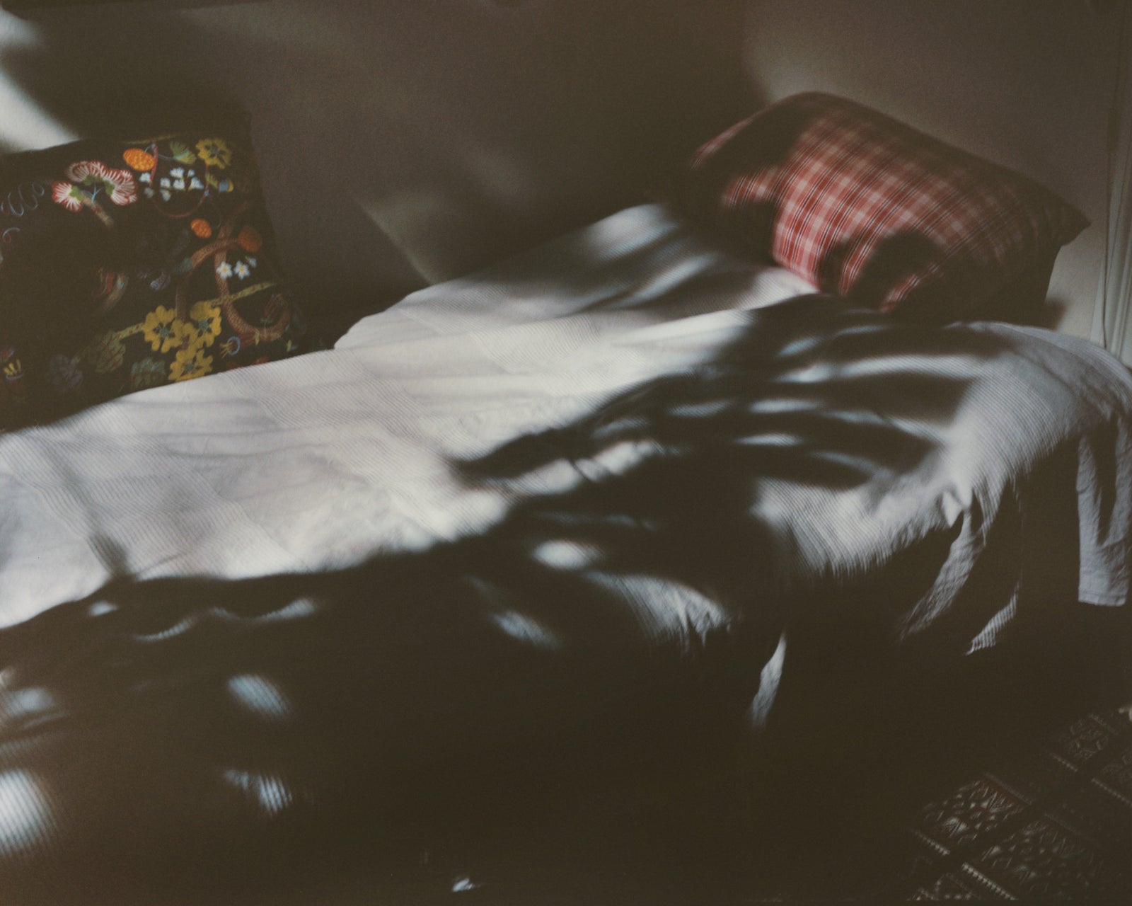Far Too Close I by Martina Hoogland Ivanow – LINKIMAGE
